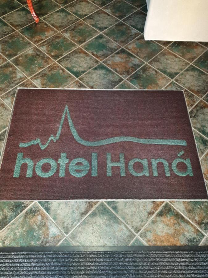 Wellness Hotel Hana 玛丽亚温泉 外观 照片